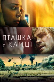 Пташка у клітці