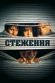 Стеження 2