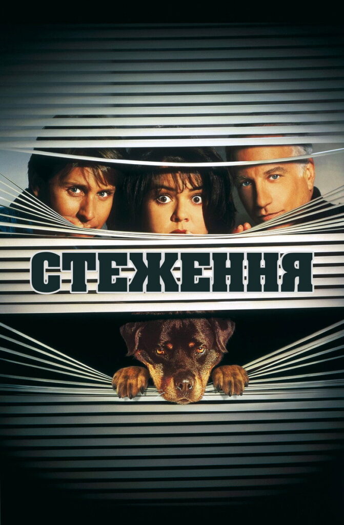 Стеження 2