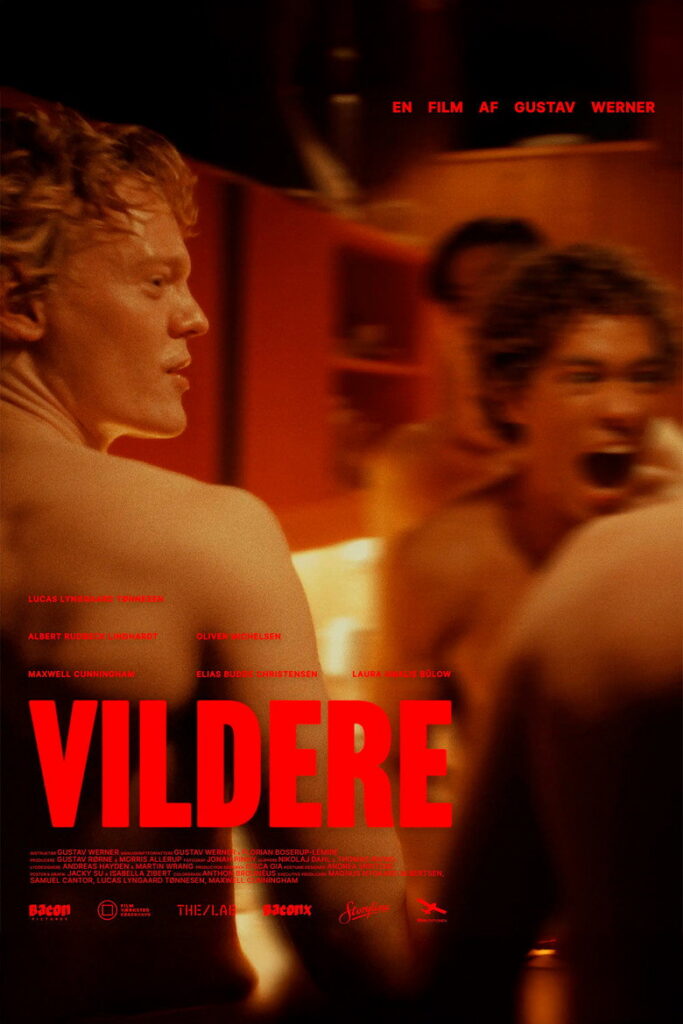 Vildere