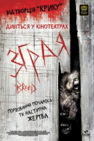 Зграя