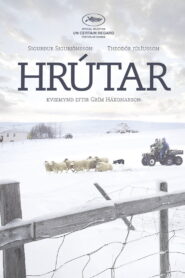 Барани
